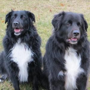 Meet your Posher, Patti